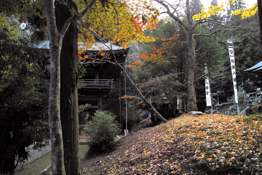 秋の装い～御調八幡神社