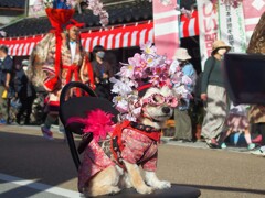 似合うかしら　(*_*;