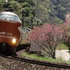 やくも花桃の里を通過～
