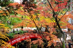 見頃を迎えた紅葉～世羅の今高野山