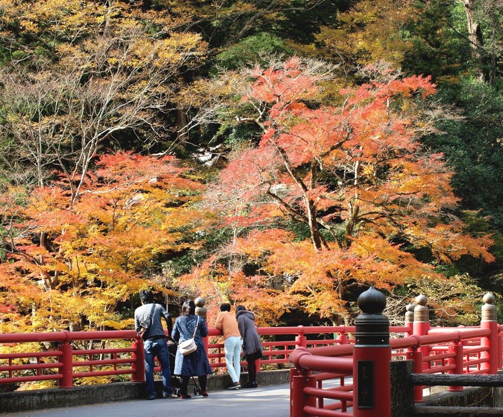天神峡の紅葉（井原）