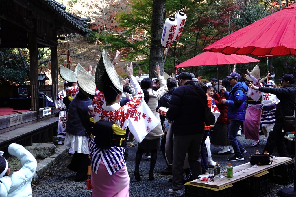 さぁみんなで踊ろう～大田庄祭り　４