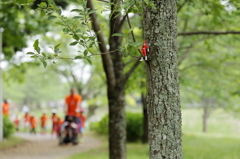 公園の監視員