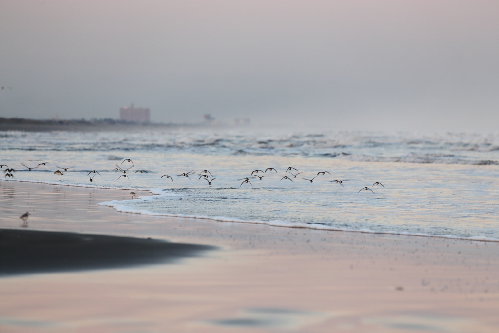 暮れゆく浜の景色