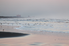 暮れゆく浜の景色