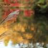 水面