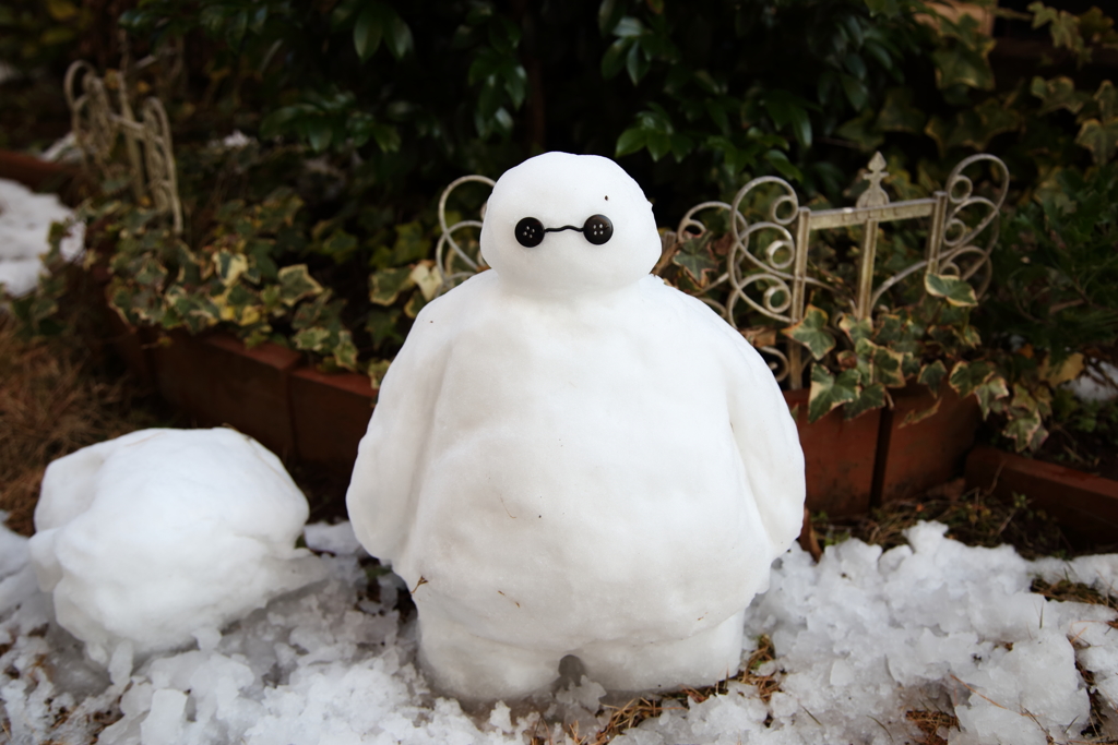 雪が降ると現れる