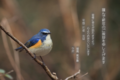 幸せが訪れますように