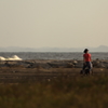 振り向けば夕日