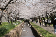 再生の道