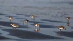 春の海辺で