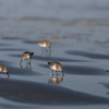 春の海辺で