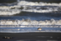 荒れる海で