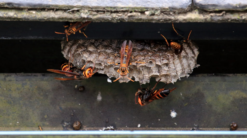 家を造るなら～♪