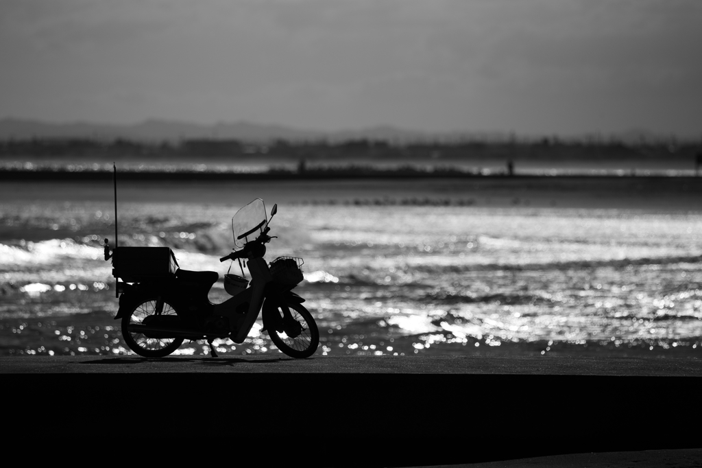 海
