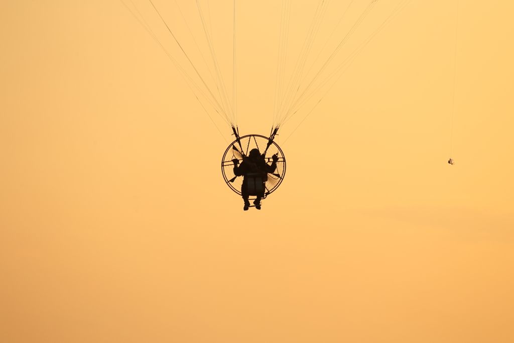 FLY