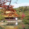 秋の金閣寺