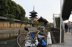 愛車コルナゴと東寺