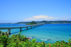 さあ！夏だ！