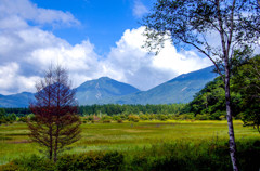 小田代ヶ原