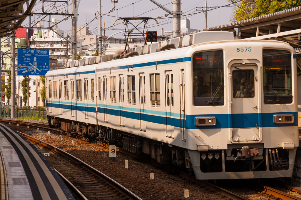 東武亀戸線8575F@東あずま駅