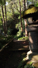 鎌倉の苔寺