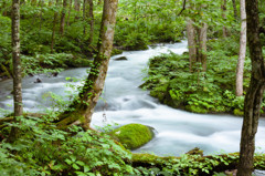 流れ