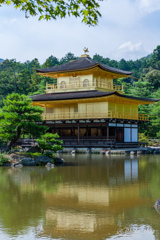 金閣寺