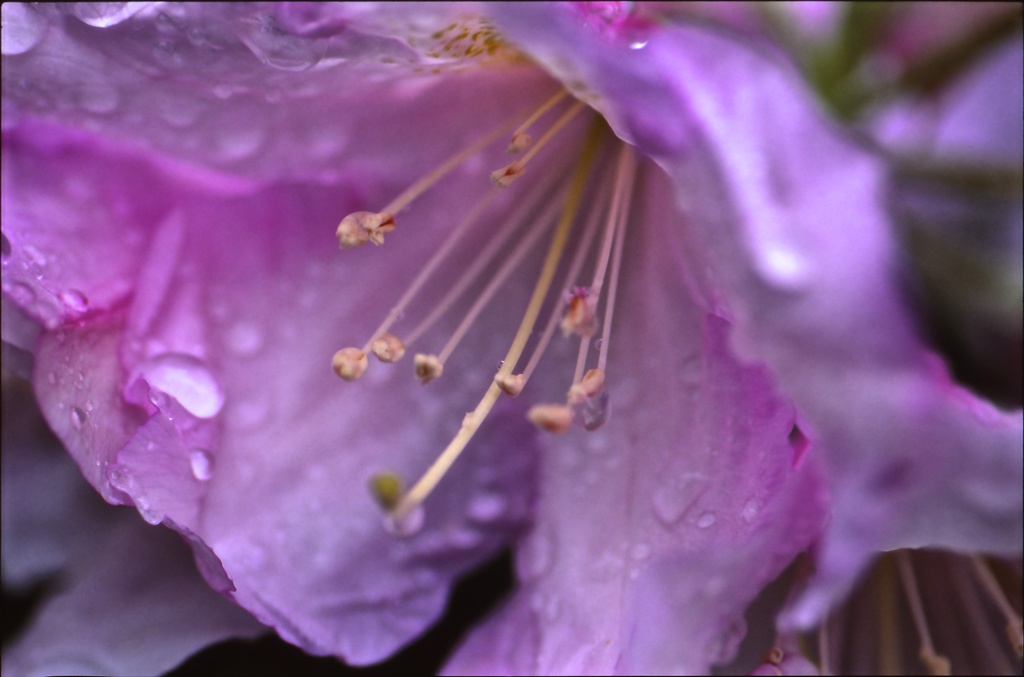 雨あがる３