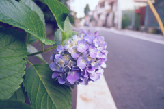 road