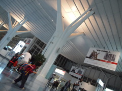 P7142426