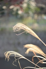 風に吹かれて