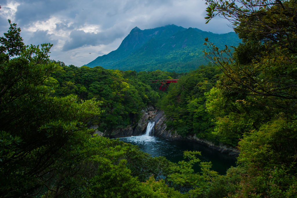 緑と水