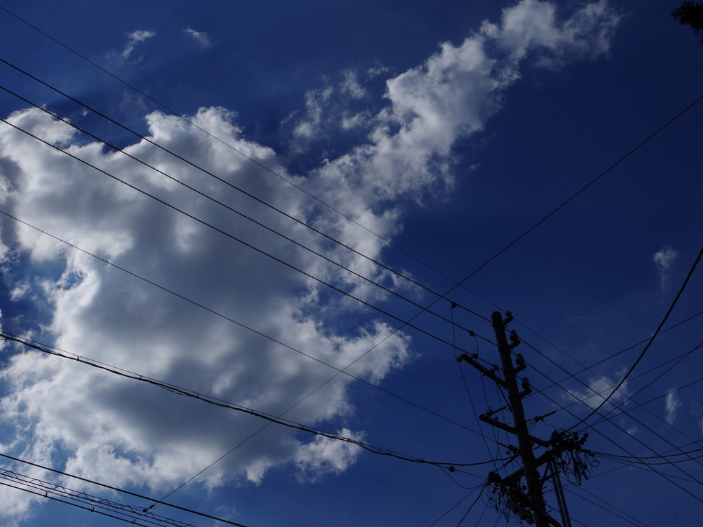 電線と空