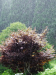 天気雨