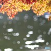オフ会での紅葉　５