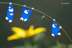 イラスト　４　黄色い花