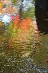 オフ会での紅葉　３