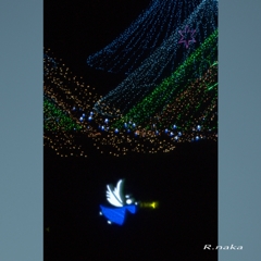 公園のイルミネーション　２　天使　