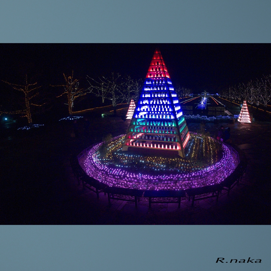 公園のイルミネーション　２　天使の目線！