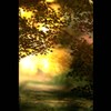 公園の紅葉　８