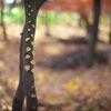 紅葉の森