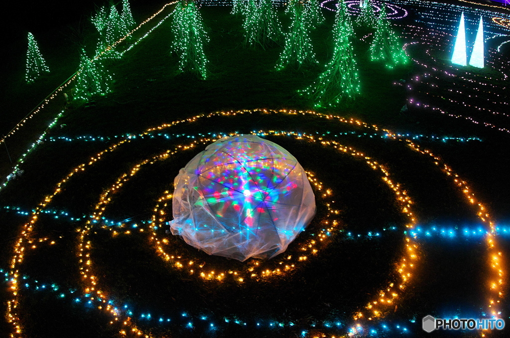 2016 昭和記念公園のイルミネーション　７