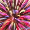 2016 公園の花火　２