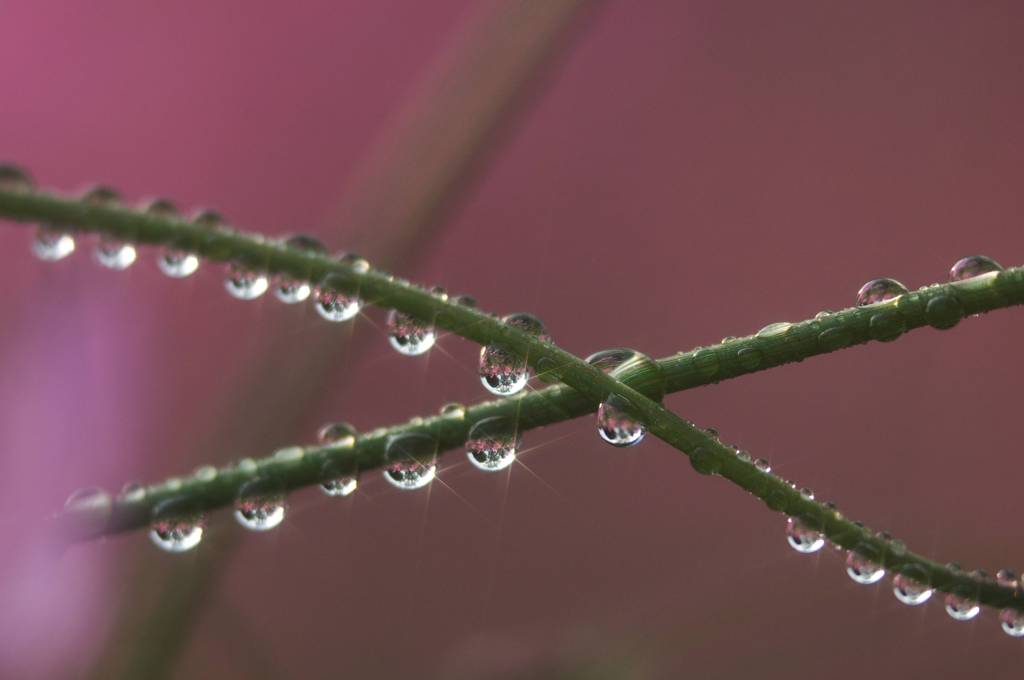 雨上がり　２