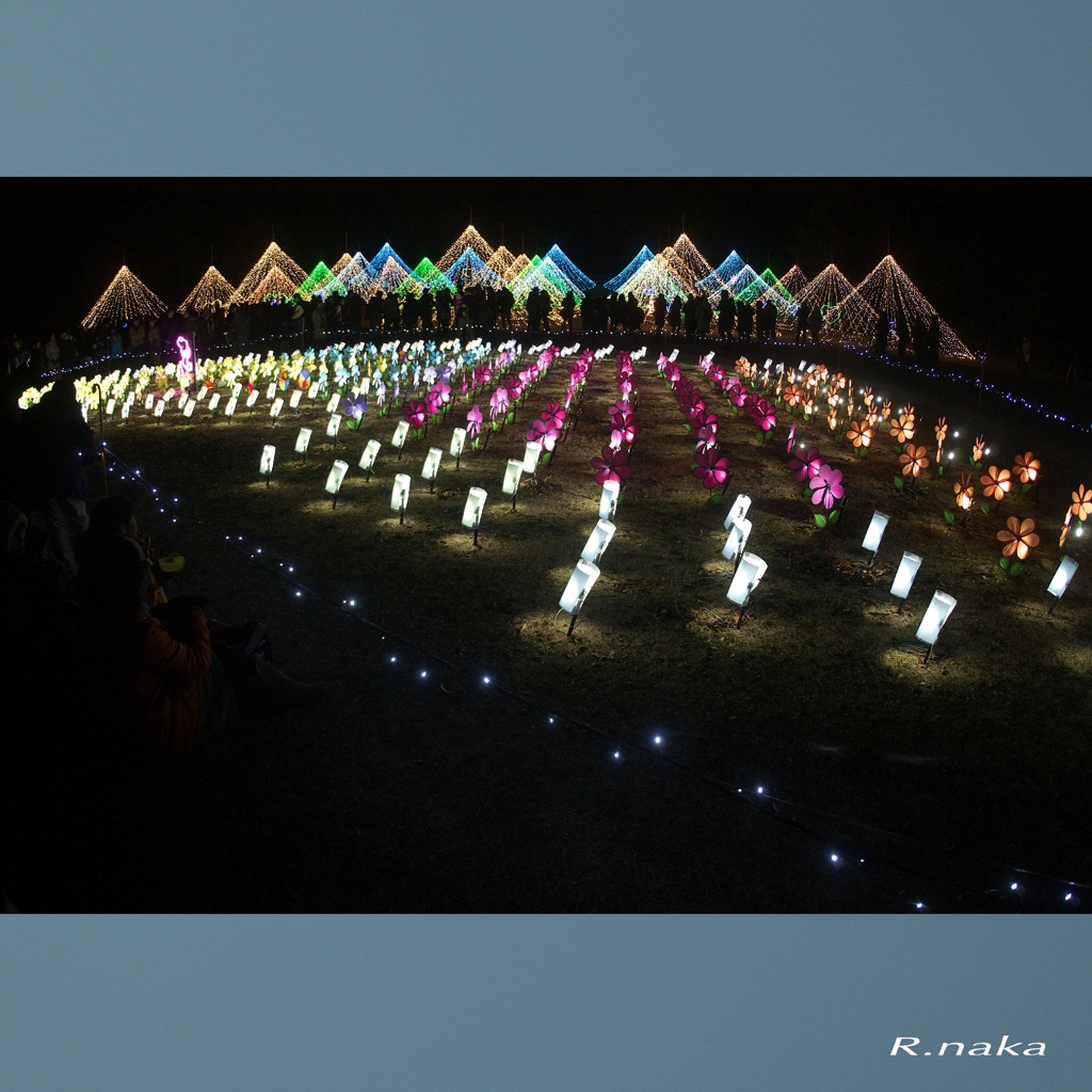 公園のイルミネーション　７  イブの夜