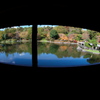 公園、日本庭園