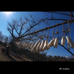 公園の冬　こもれびの里