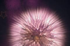 アート花火　星