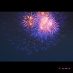 ２０１５　公園の花火で。。。４